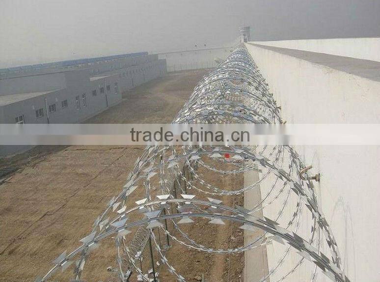 Galvanized Razor Wire