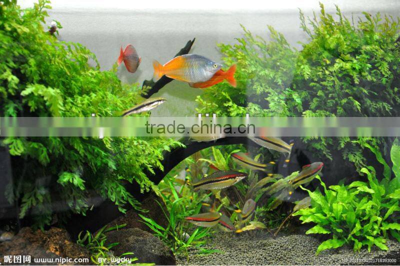 hot sale Floating feed pellet making machine for fish