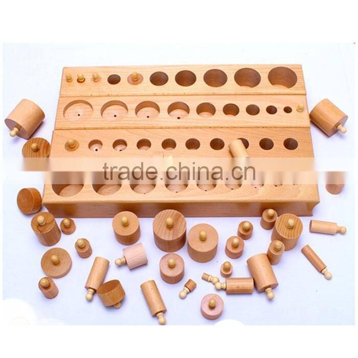 Teaching AIDS Wooden educational toys montessori Cylinders blocks