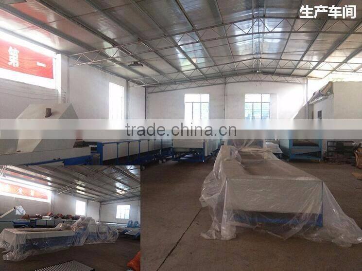 Garlic /Vegetable and Fruit Cleaning and Grading/Sorting machine