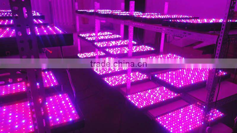 1000w reflector double switch full spectrum led grow light for medical plants and flower