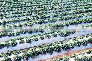 PE plastic film for greenhouse/mulch/agriculture