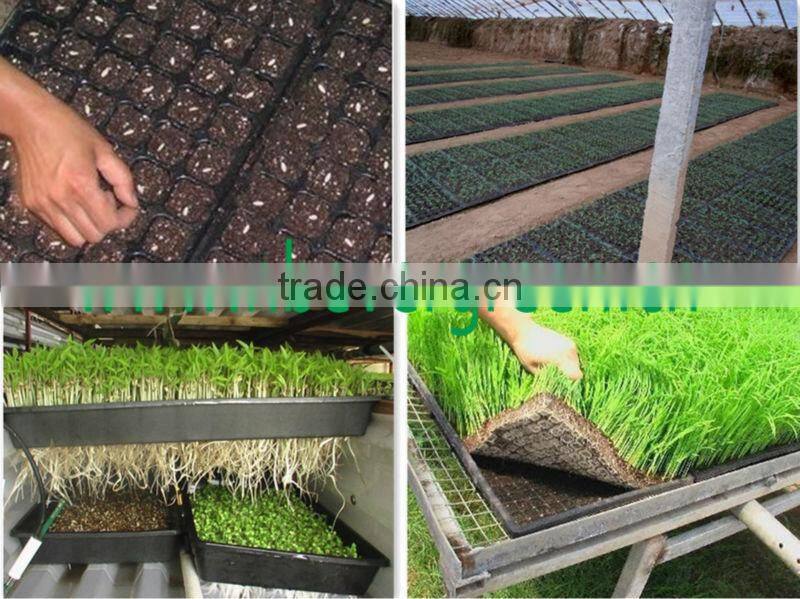 PVC seed tray with covers