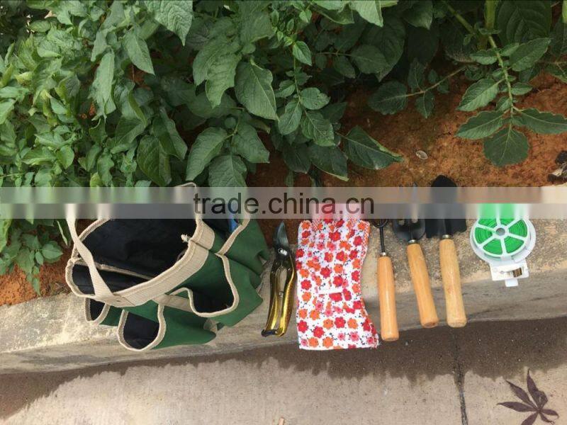 OXford Garden bag&tool kit set