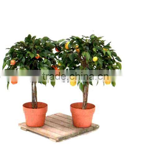 fake orange mini bonsai,fake fruits trees for sale
