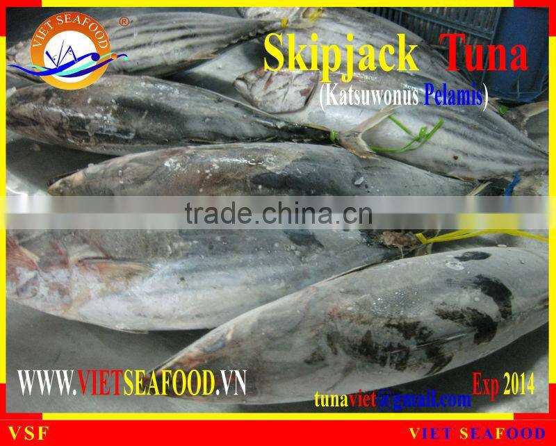 W/R FROZEN SKIPJACK TUNA