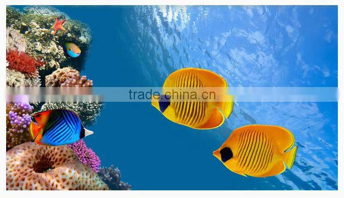 CPF--5000/10000/15000 Pond bio press filter