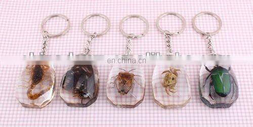 Luminous Real Insects Amber Keychain with Scorpion