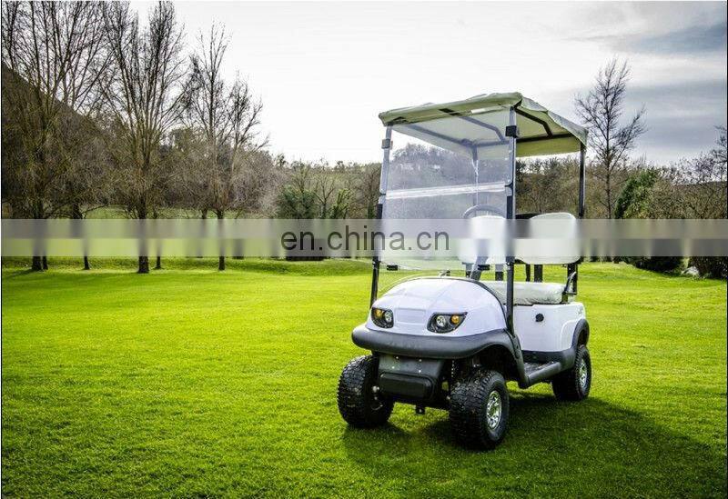 Curtis controller mini 2 seater golf cart