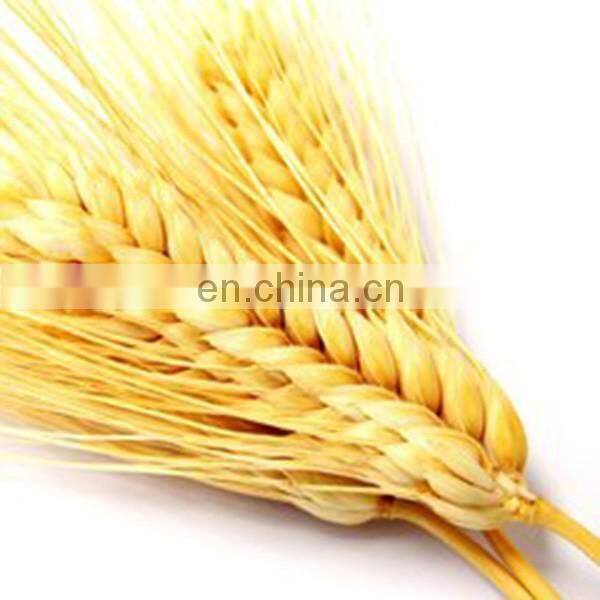 High efficiency Wheat flour mill plant|Wheat flour mill machine