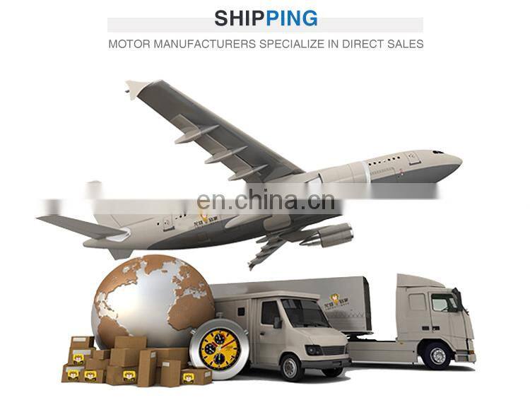 Hot selling 30kw 2955 rpm YE2 200L1-2 three phase electric ac water pump motor made in China