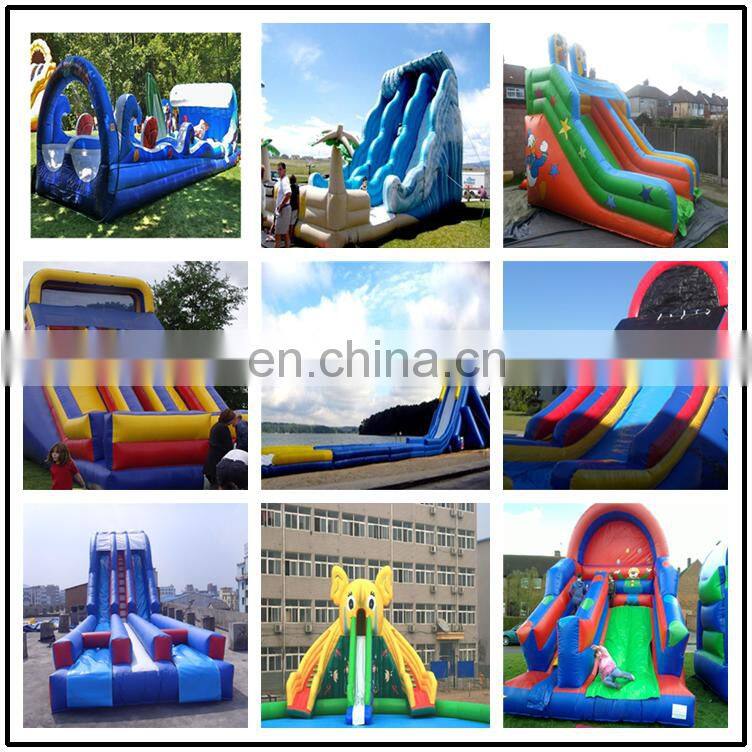 Best selling commercial large inflatable water slides for sale / large inflatable dry slide