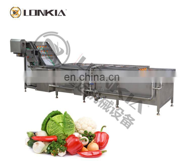 air bubble fruit cleaning machine price