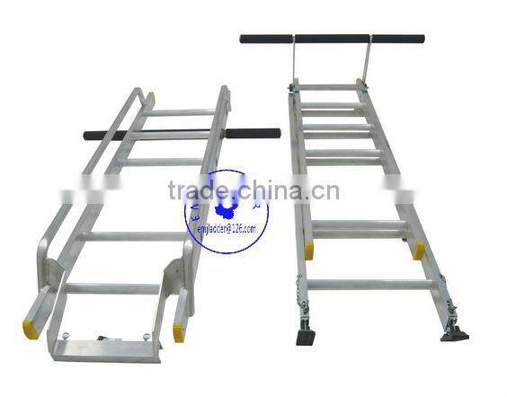 Conservatory Ladders