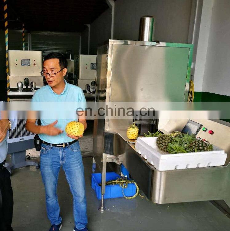 Pineapple Skin peeling machine Pawpaw peeler Fruit peeler