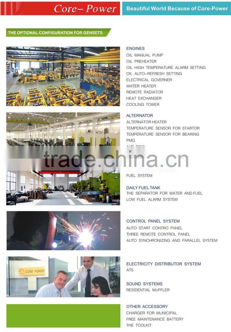 300kva UK Motor Generator Set With brand engine China made