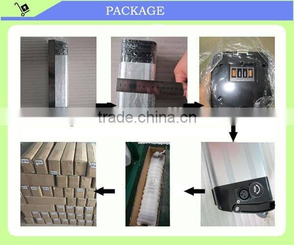 Rechargeable electric bike 10ah 48v lithium ion battery with BMS charger and Alu case