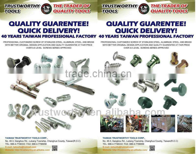 Taiwan round head customized particular professional customized screw