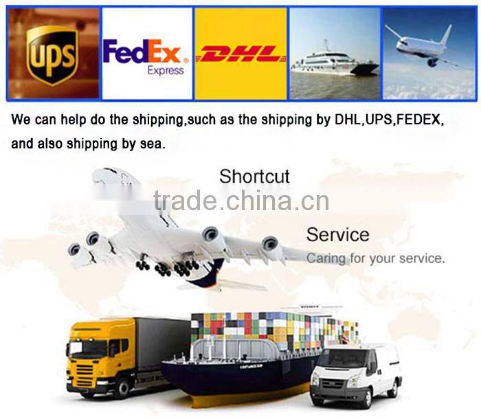 China Wholesale Aluminium-Alloy Low Price High Quality USB Led Flashlights