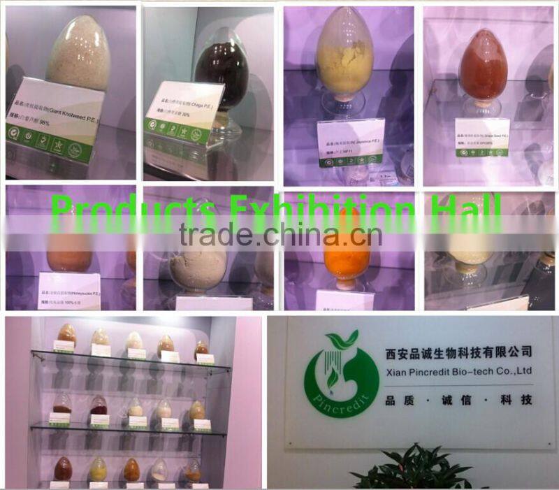 Low Price Ursolic Acid /Ursolic Acid Powder