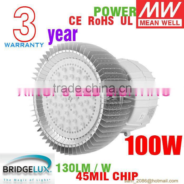 New products 2013! HOT! 100w high bay led bulb