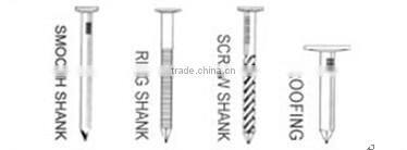 Coil Nails/ Coil roofing nails