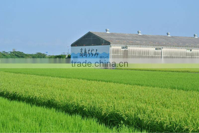 Japanese quick-drying cotton crepe fabric for summer wear