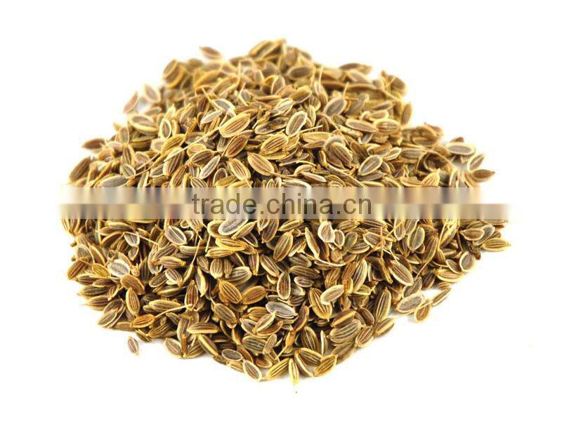 Dill Seed Oil From India | 100% Natural Dill Seed Oil From BORG EXPORT