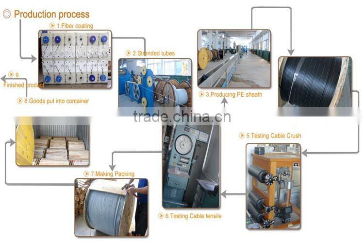 10 core single mode stranded GJBFJV FRP indoor Tight buffer fiber optical cable