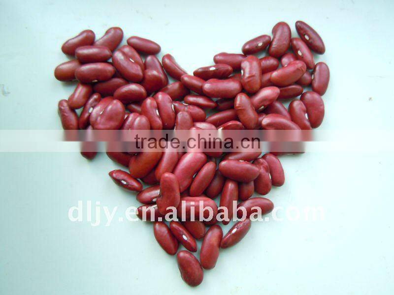 Dark Red Kidney Beans