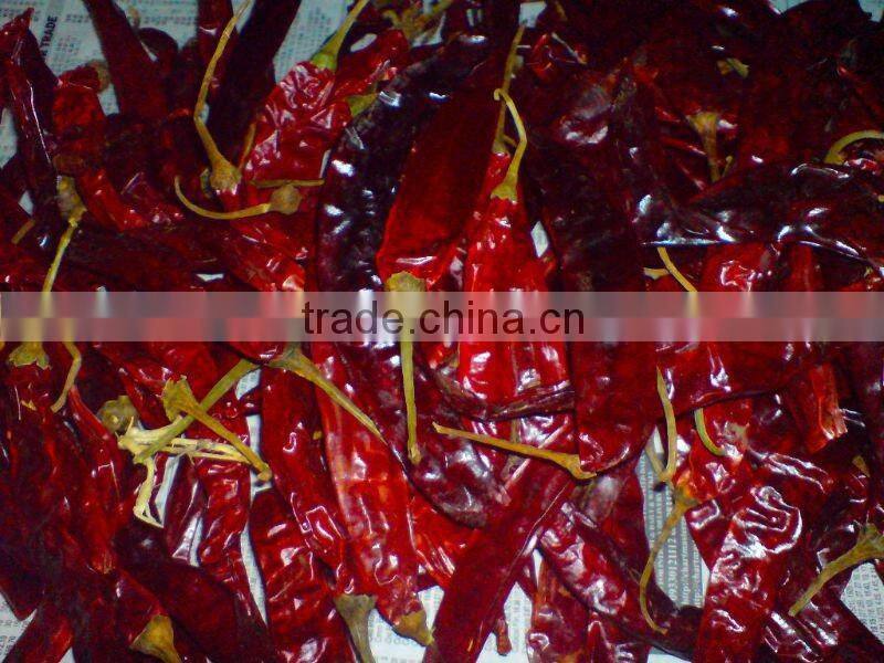 BEST QUALITY RED CHILI EXPORTER