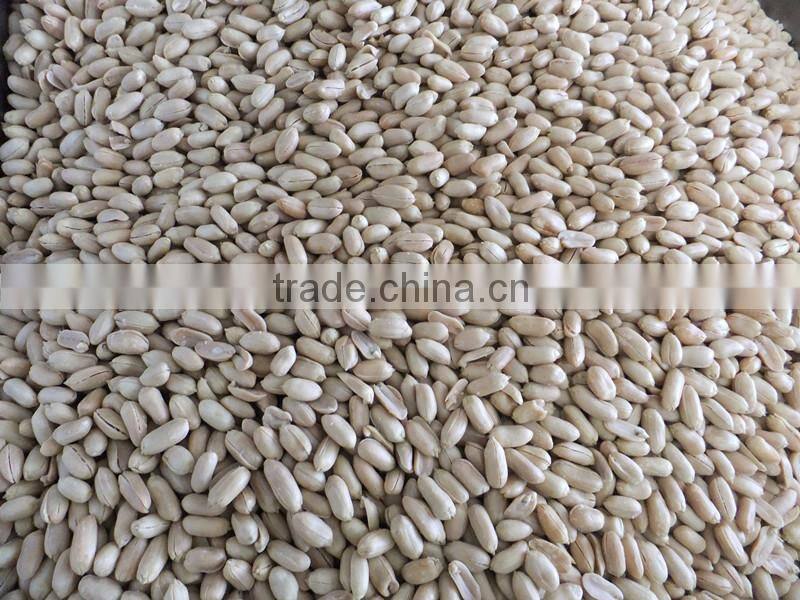 Sweet delicious Raw Redskin Peanuts for roasting