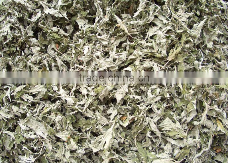 Footcare herbal powder artemisia argyi leaf powder