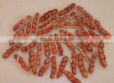 New crop chinese red skin peanut kernels
