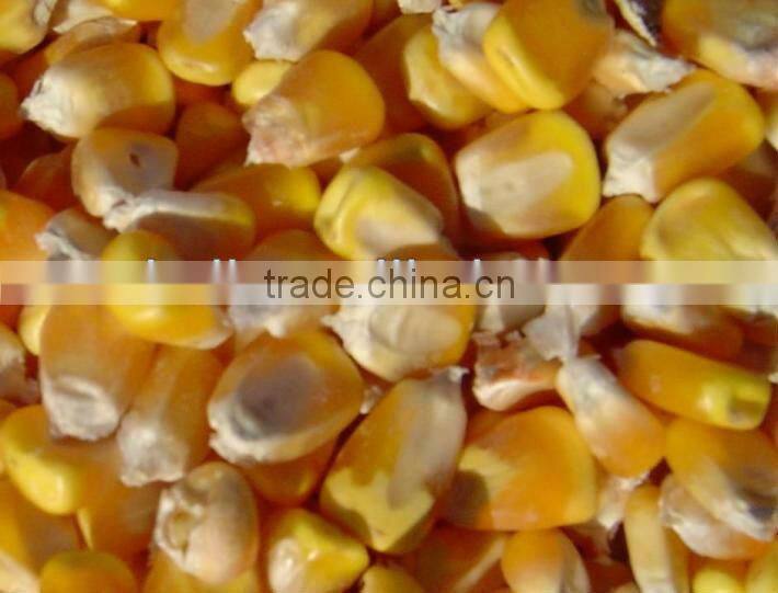 Corn planter/corn seed planter with fertilizer//008613676951397