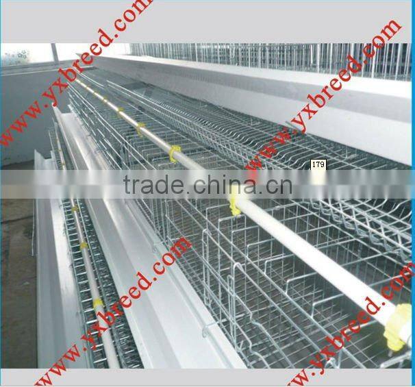 Poultry Chicken layer battery cage(factory high quality)