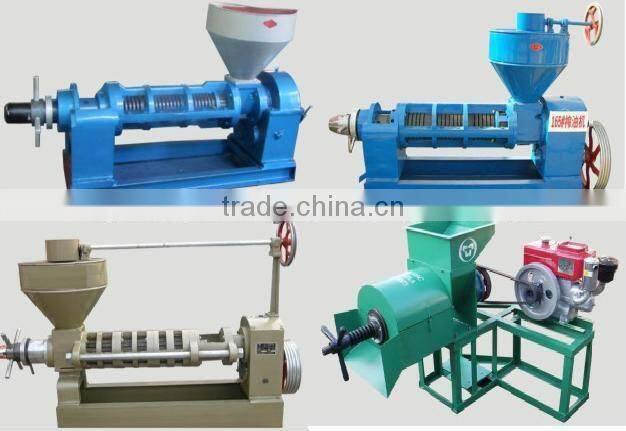 Hot sale screw oil press machine 6YL-100 with capacity 200kg/h