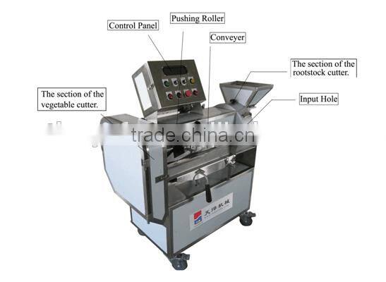 Taiwan New Teemyeah Vegetable Cutter Machine with Good Quality Leafy and Bulbous Cutter Machine TW-902