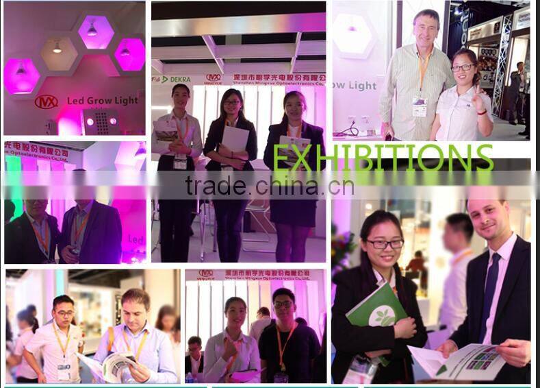 Cxb 3590 Cob LED Grow Light 230W Zeus