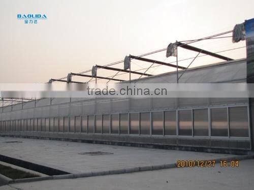 glass house for vegetables and commercial