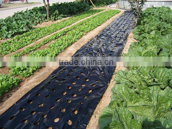 Biodegradable colorful agricultural mulch film for crop food grade