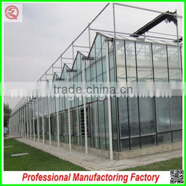 China price multi-span glass greenhouse with drip irrigation for sale