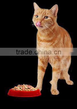 dry cat food Adult Hairball Control Formula