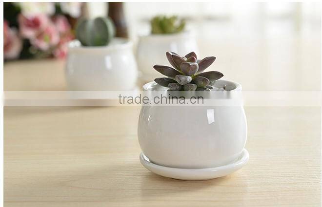 New design ship shape colorful ceramic flower pots for livingroom