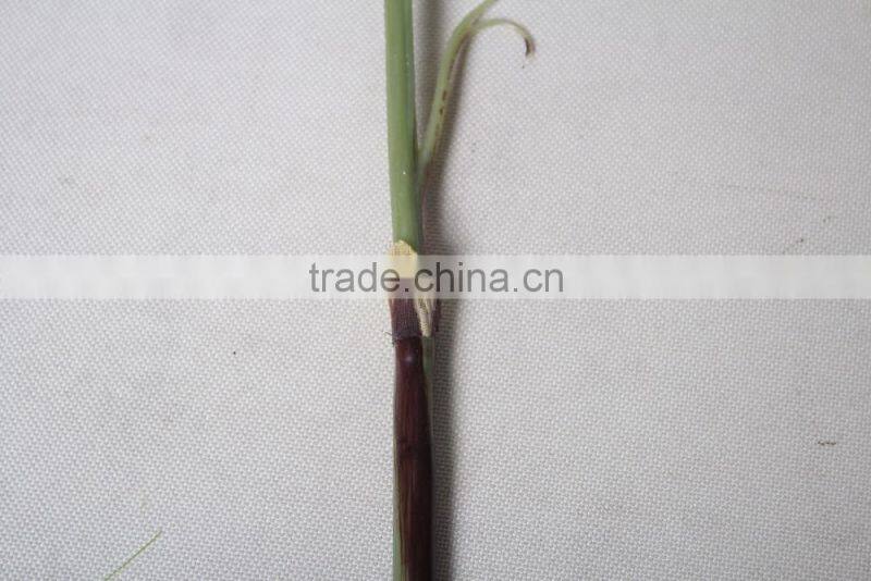 Decorative Artificial Flower Making For Decoration