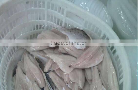 Frozen seabass fillets 5-7oz,7-9oz lateolabrax japinicus for Middle East Market