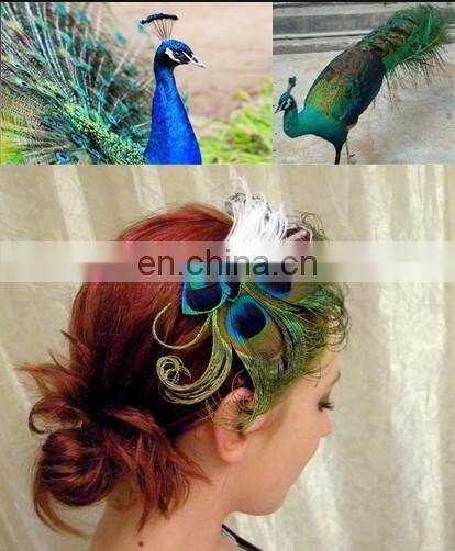 natural peacock feather headdress flower