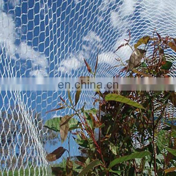 High strength extruded Polypropylene anti-bird net with UV treated