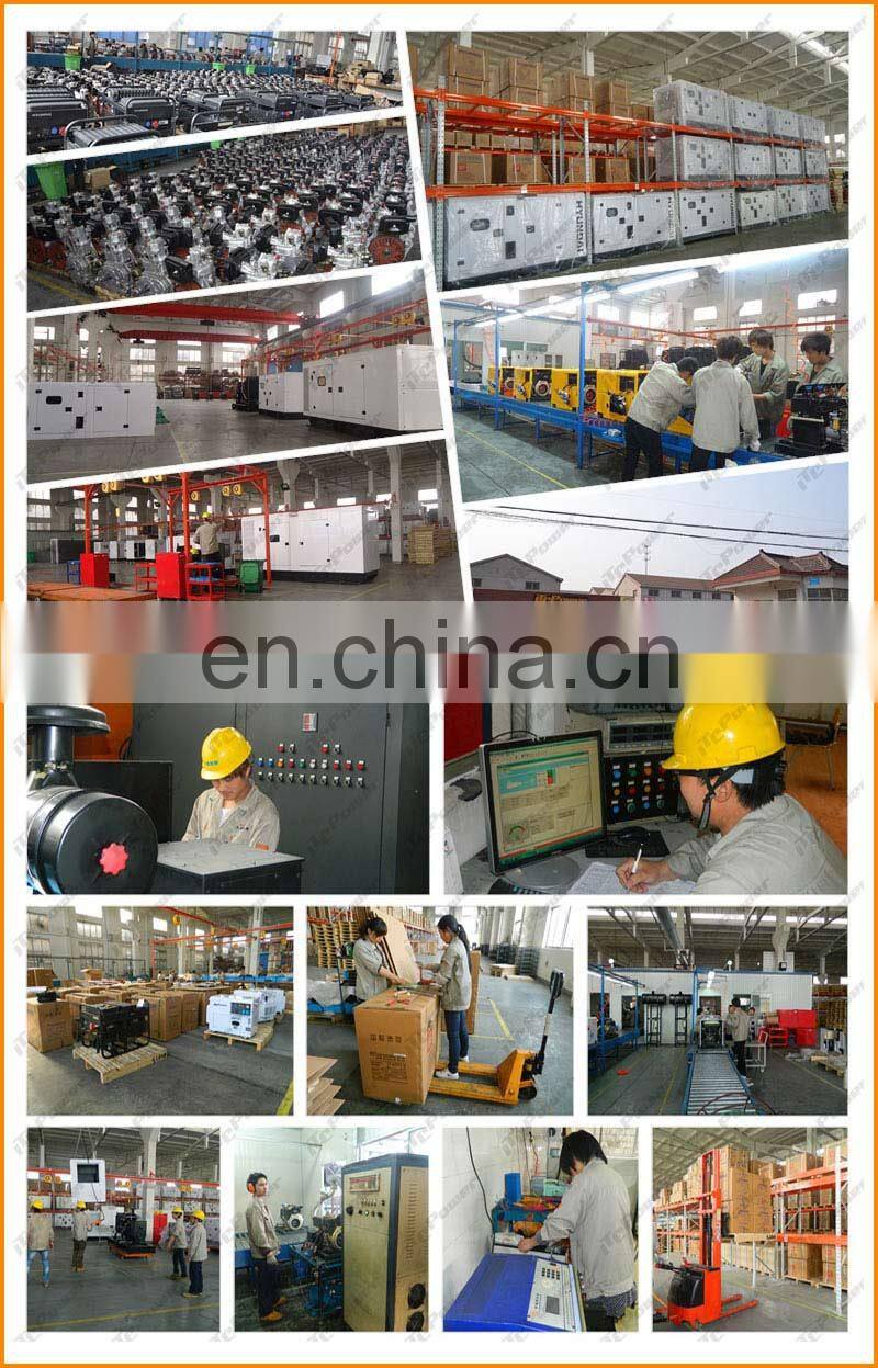 single phase portable air cooled welding diesel generator with sales promotion