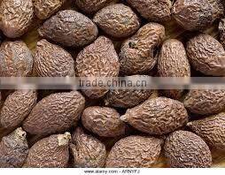 Sargentodoxa cuneata